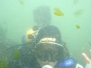 Buceo en Caleta Tumbes